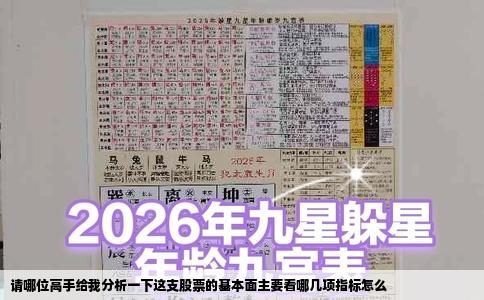 请哪位高手给我分析一下这支股票的基本面主要看哪几项指标怎么