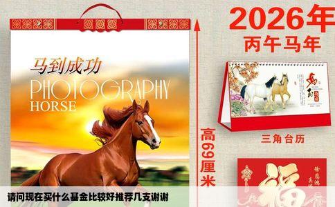 请问现在买什么基金比较好推荐几支谢谢