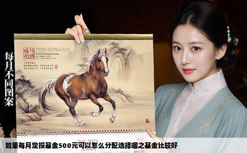 如果每月定投基金500元可以怎么分配选择哪之基金比较好