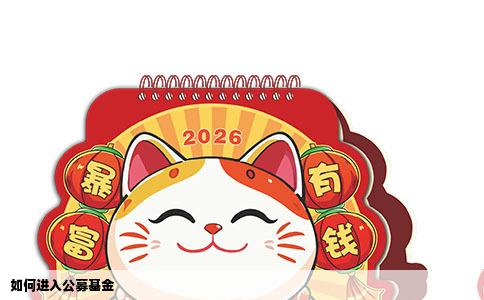 如何进入公募基金