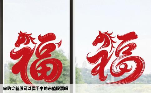 申购完新股可以卖手中的市值股票吗