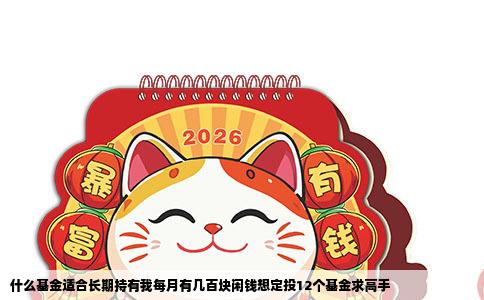什么基金适合长期持有我每月有几百块闲钱想定投12个基金求高手