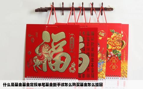 什么是基金基金定投单笔基金新手该怎么购买基金怎么赎回