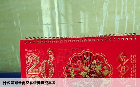 什么是可分离交易证券投资基金