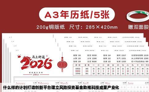 什么样的计划打造创新平台建立风险投资基金助推科技成果产业化