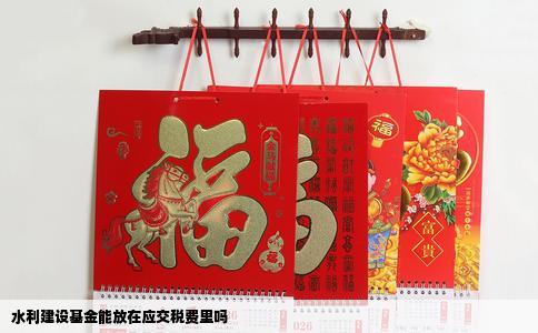 水利建设基金能放在应交税费里吗