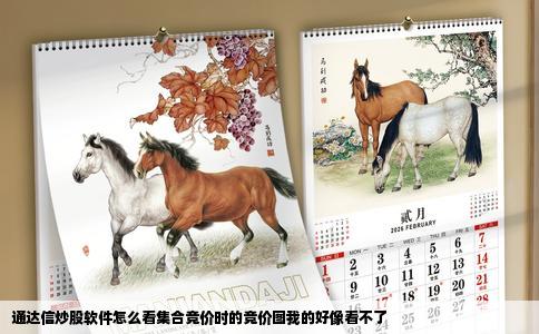 通达信炒股软件怎么看集合竞价时的竞价图我的好像看不了