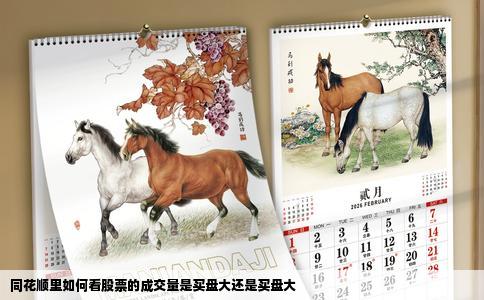 同花顺里如何看股票的成交量是买盘大还是买盘大