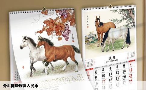 外汇储备投资人民币