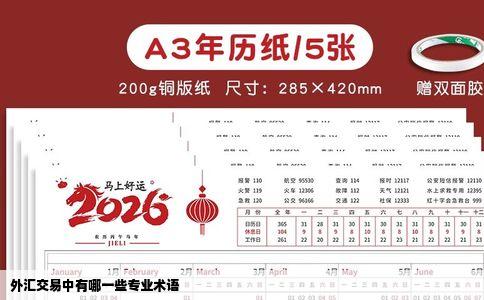 外汇交易中有哪一些专业术语