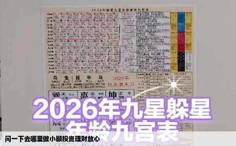 问一下去哪里做小额投资理财放心