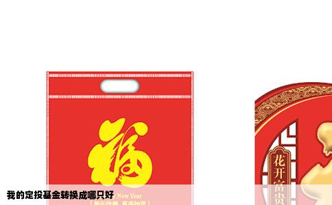 我的定投基金转换成哪只好