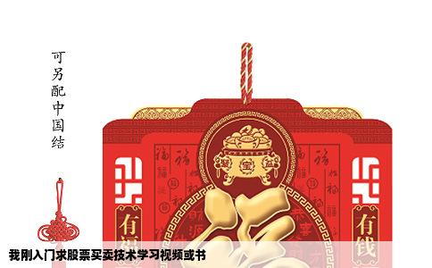 我刚入门求股票买卖技术学习视频或书