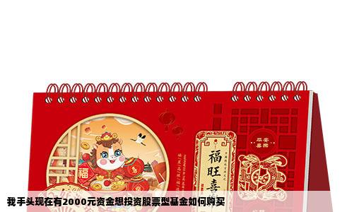 我手头现在有2000元资金想投资股票型基金如何购买