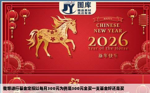 我想进行基金定投以每月300元为例是300元全买一支基金好还是买