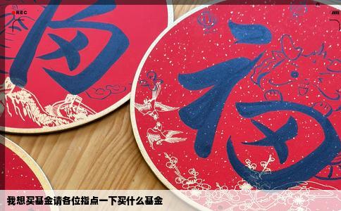 我想买基金请各位指点一下买什么基金