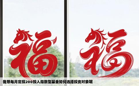 我想每月定投200投入指数型基金如何选择投资对象呢