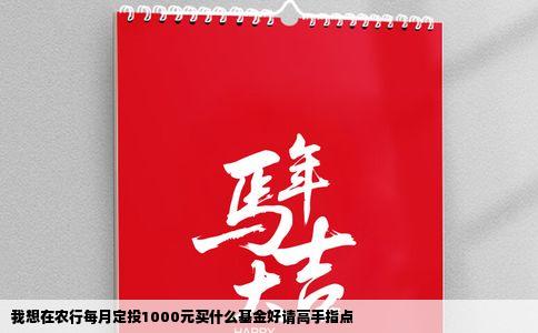 我想在农行每月定投1000元买什么基金好请高手指点