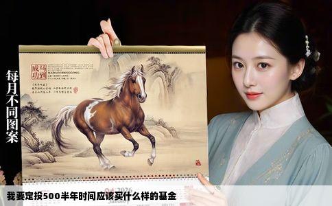 我要定投500半年时间应该买什么样的基金