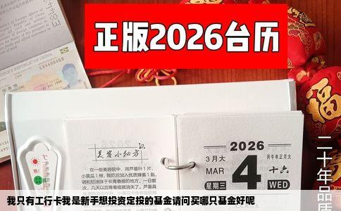 我只有工行卡我是新手想投资定投的基金请问买哪只基金好呢
