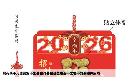 现有两千元想买货币型基金对基金这些东西不太懂不知买哪种麻烦