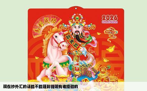 现在抄外汇的话能不能赚到钱呢有谁经验的