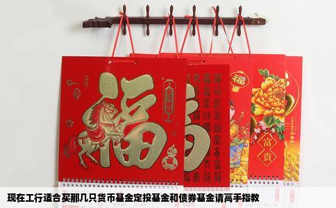 现在工行适合买那几只货币基金定投基金和债券基金请高手指教