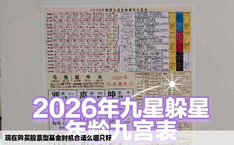 现在购买股票型基金时机合适么哪只好