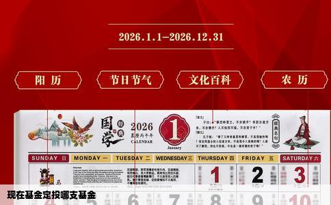 现在基金定投哪支基金