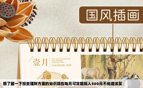 想了解一下投资理财方面的知识现在每月可定期投入500元不知道该买
