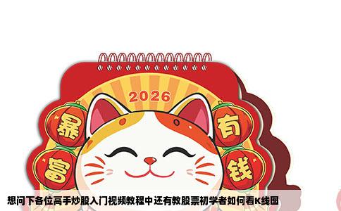 想问下各位高手炒股入门视频教程中还有教股票初学者如何看K线图