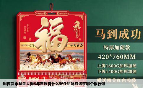 想做货币基金大概5年定投有什么好介绍吗应该在哪个银行做