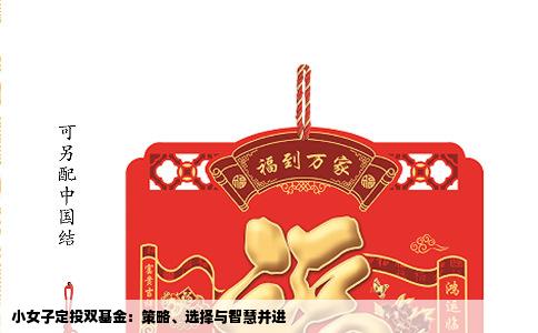 小女子定投双基金：策略、选择与智慧并进