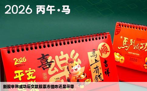 新股申购成功后交款股票市值咋还显示零