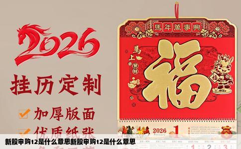 新股申购t2是什么意思新股申购t2是什么意思