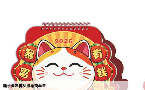 新手要怎样买股票或基金