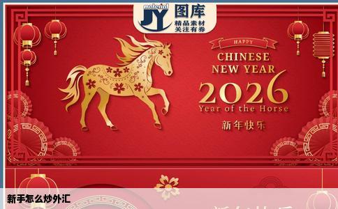 新手怎么炒外汇