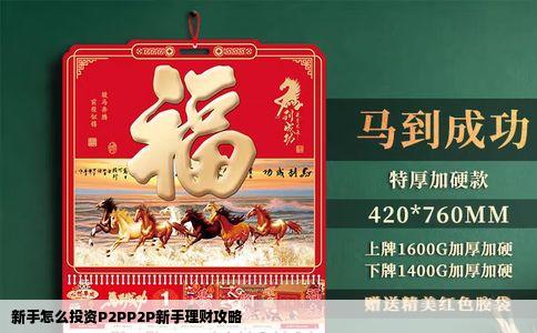 新手怎么投资P2PP2P新手理财攻略