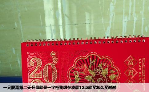 一只股票第二天开盘就是一字板我想在凌晨12点就买怎么买谢谢