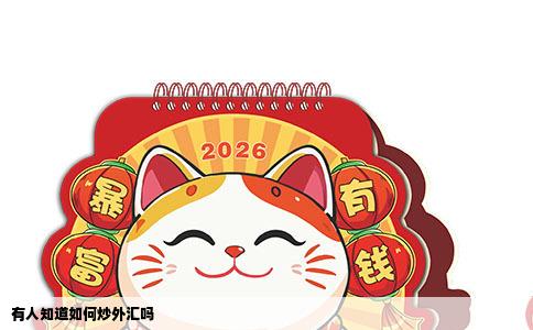有人知道如何炒外汇吗
