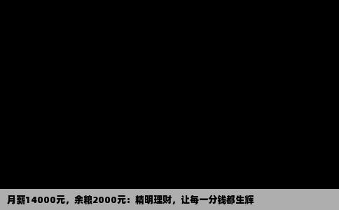 月薪14000元，余粮2000元：精明理财，让每一分钱都生辉