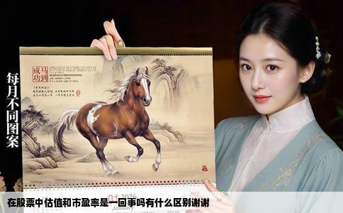 在股票中估值和市盈率是一回事吗有什么区别谢谢