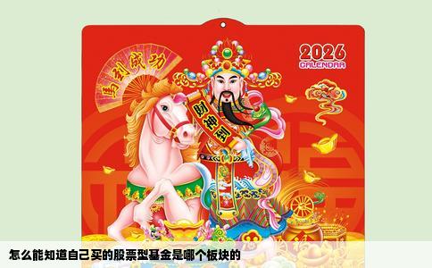 怎么能知道自己买的股票型基金是哪个板块的