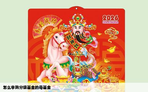 怎么申购分级基金的母基金