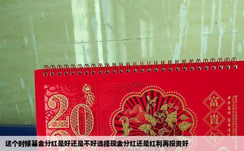 这个时候基金分红是好还是不好选择现金分红还是红利再投资好