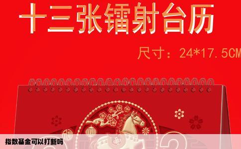 指数基金可以打新吗