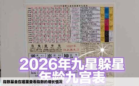 指数基金在哪里查看指数的增长情况