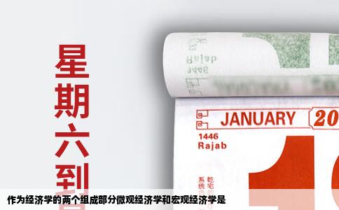 作为经济学的两个组成部分微观经济学和宏观经济学是